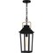 Quoizel Buckley Outdoor Hanging 1 Light Matte Black BUK1907MBK - alternate 1